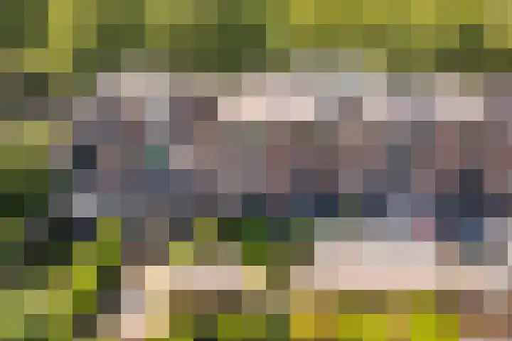 Musketiersveld 216 Apeldoorn thumbnail 31