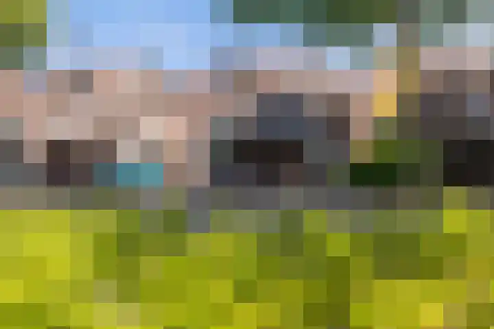 Musketiersveld 216 Apeldoorn thumbnail 32