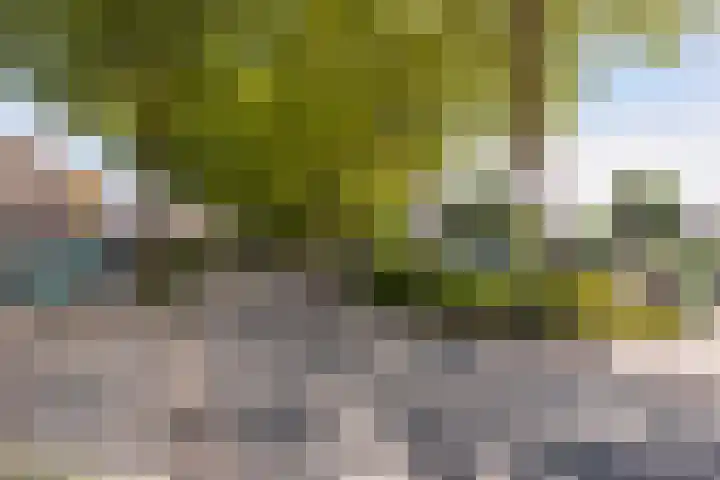 Musketiersveld 216 Apeldoorn thumbnail 35