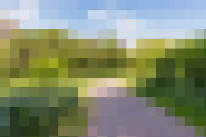 Musketiersveld 216 Apeldoorn thumbnail 37