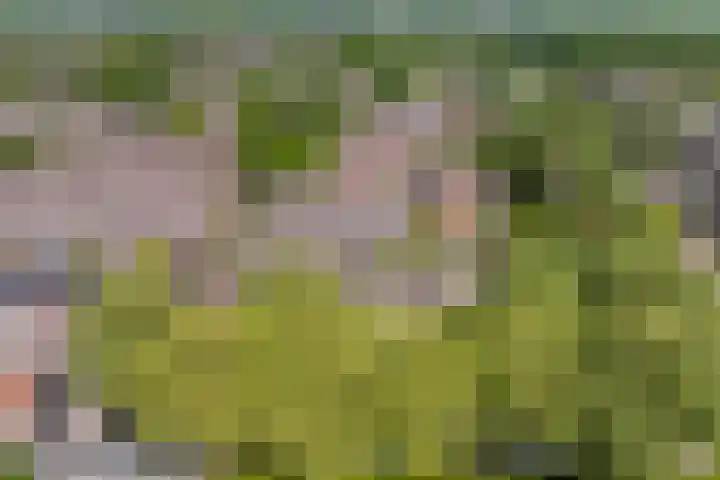 Musketiersveld 216 Apeldoorn thumbnail 38