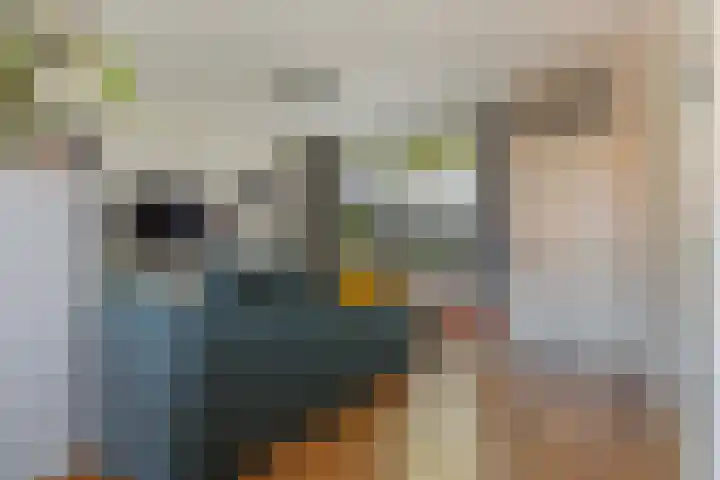Musketiersveld 216 Apeldoorn thumbnail 7
