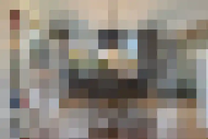 Musketiersveld 216 Apeldoorn thumbnail 8