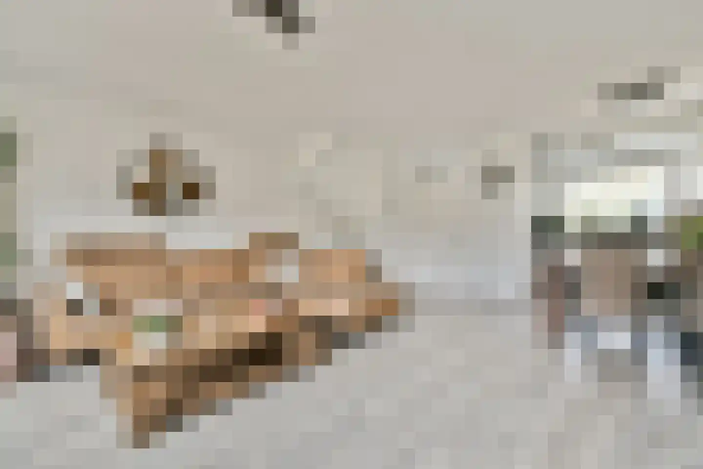 Muskuskruid 6 Vlaardingen thumbnail 11