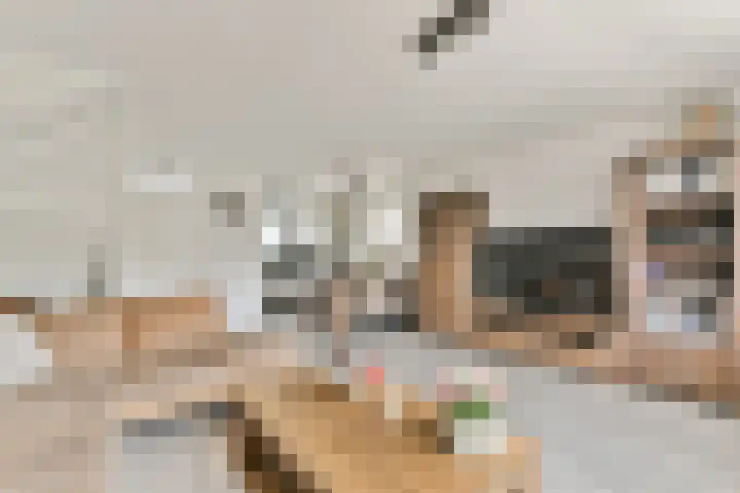 Muskuskruid 6 Vlaardingen thumbnail 12