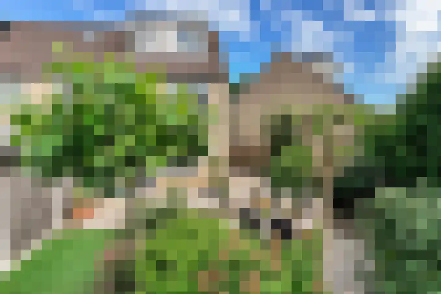 Muskuskruid 6 Vlaardingen thumbnail 15