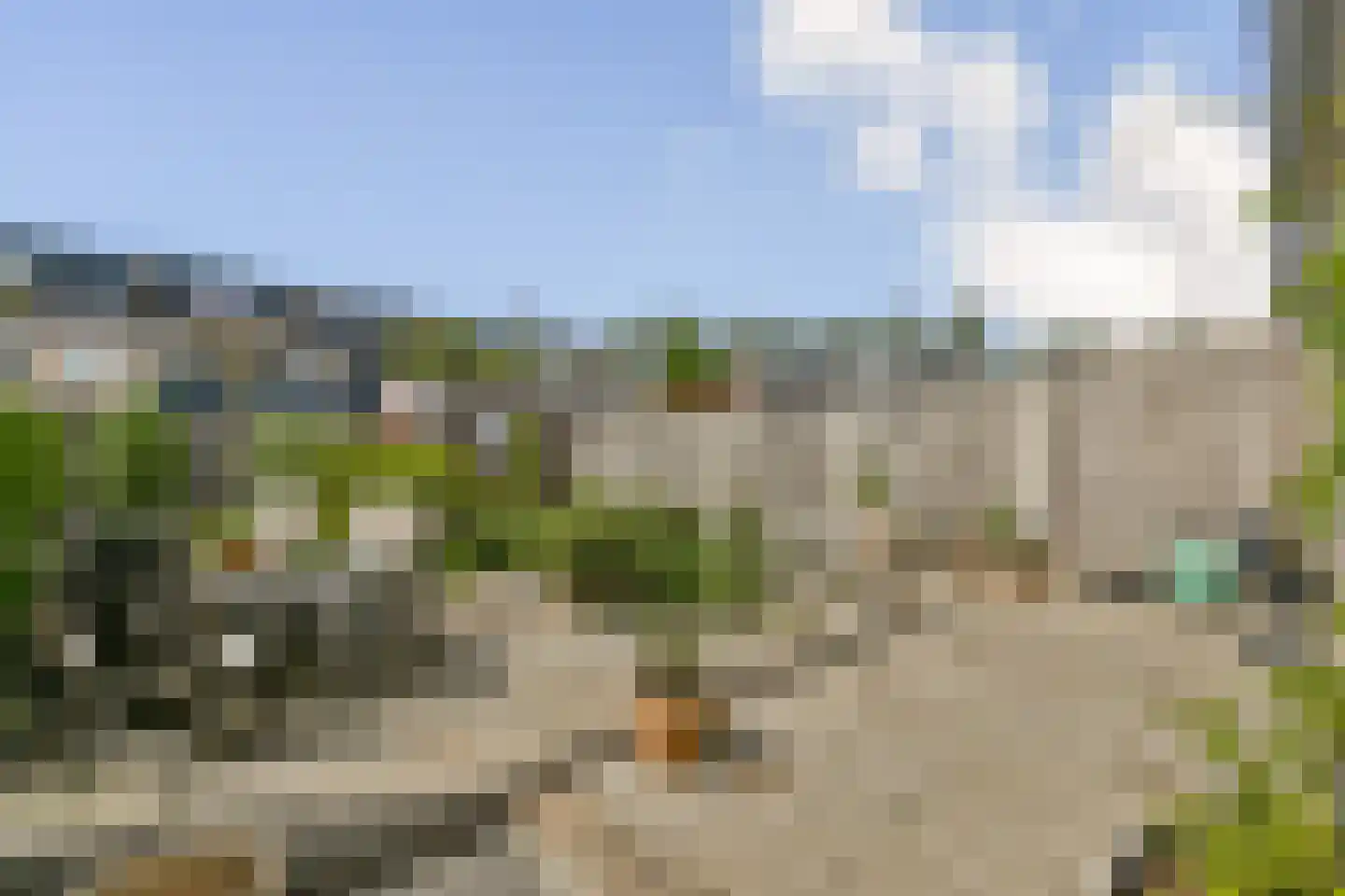 Muskuskruid 6 Vlaardingen thumbnail 18