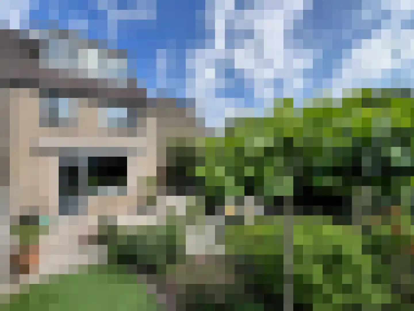 Muskuskruid 6 Vlaardingen thumbnail 19