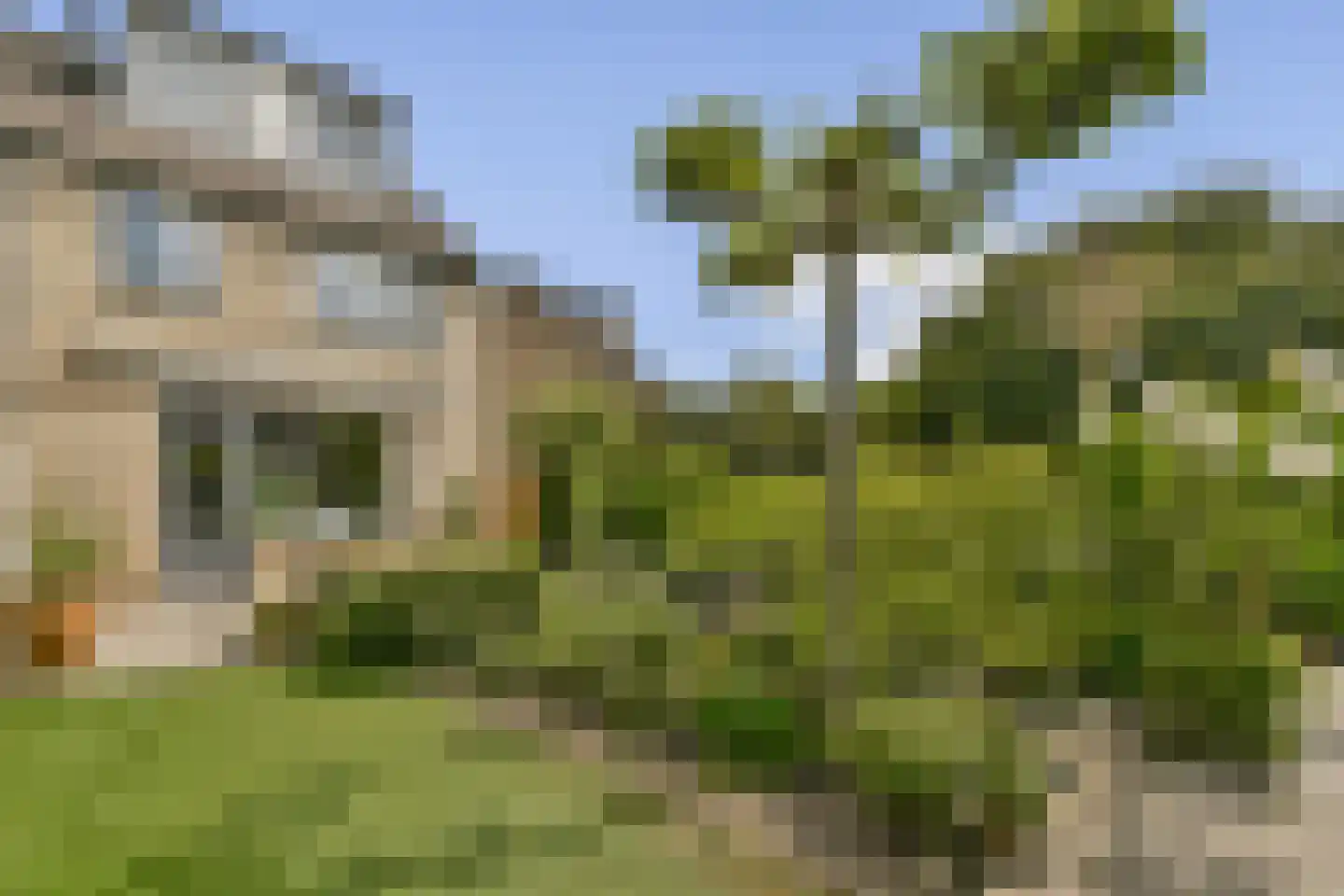 Muskuskruid 6 Vlaardingen thumbnail 20