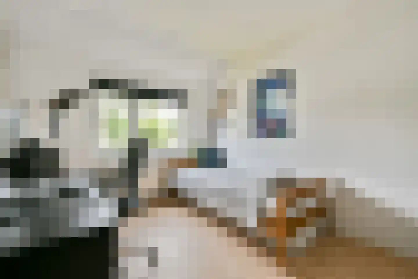 Muskuskruid 6 Vlaardingen thumbnail 23