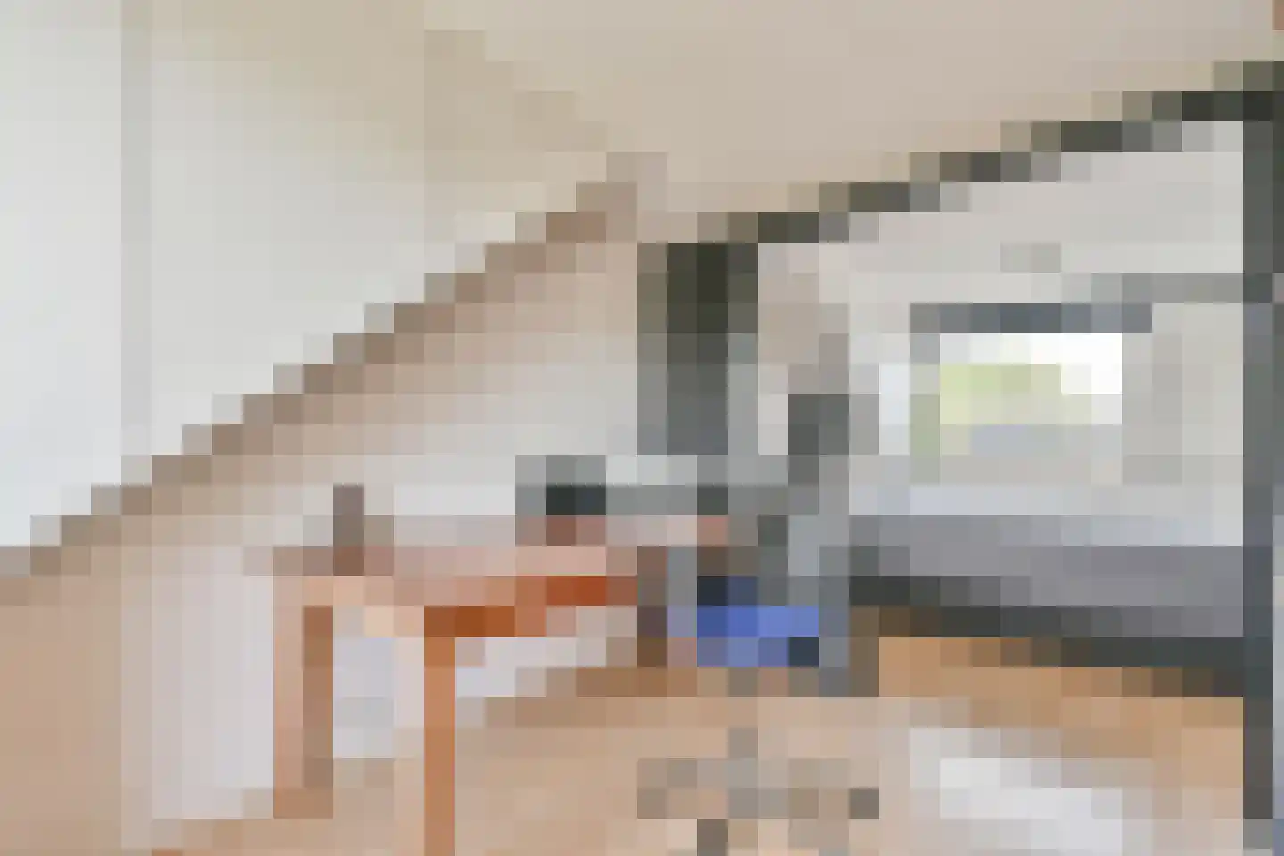 Muskuskruid 6 Vlaardingen thumbnail 25
