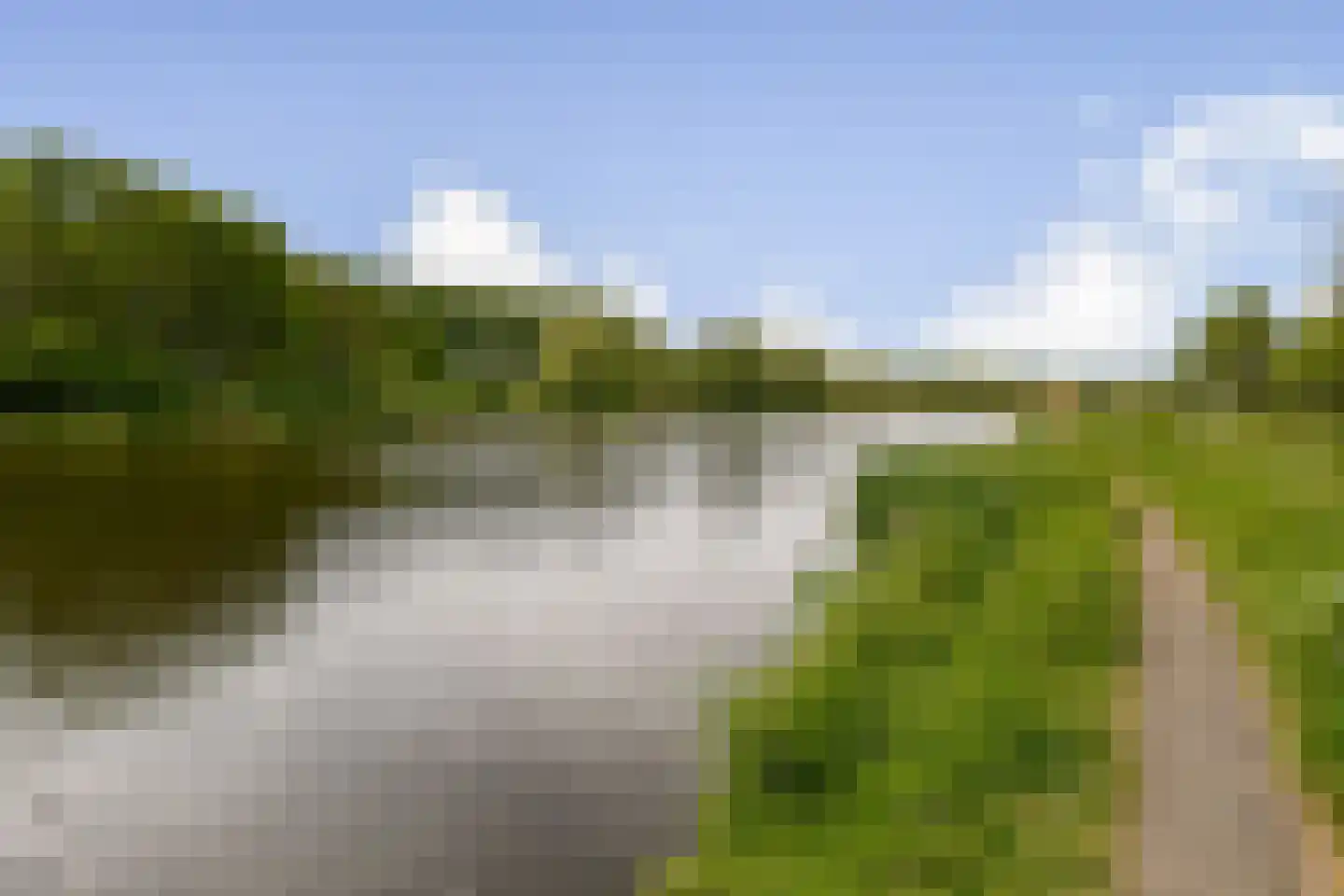 Muskuskruid 6 Vlaardingen thumbnail 28
