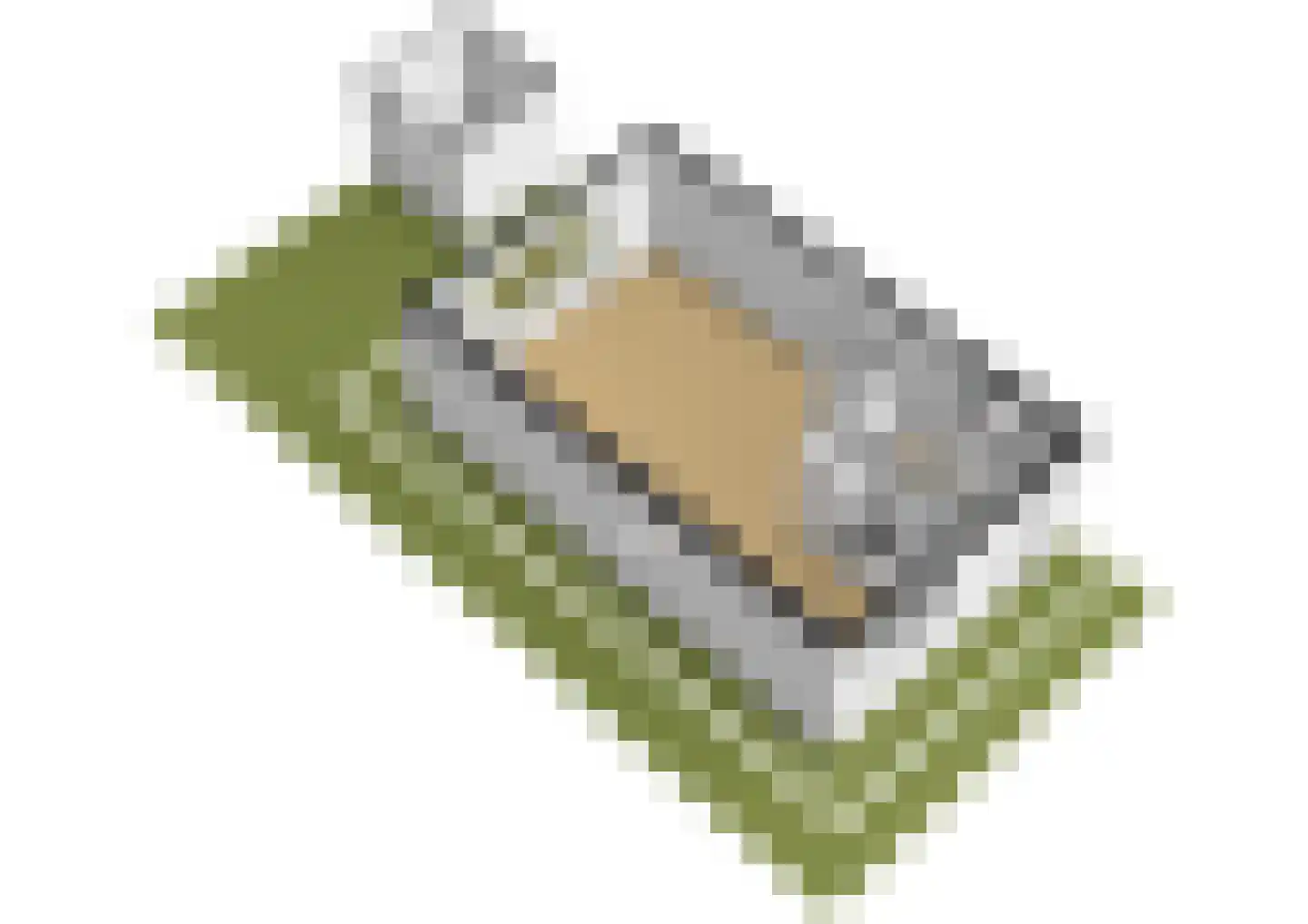 Muskuskruid 6 Vlaardingen thumbnail 36