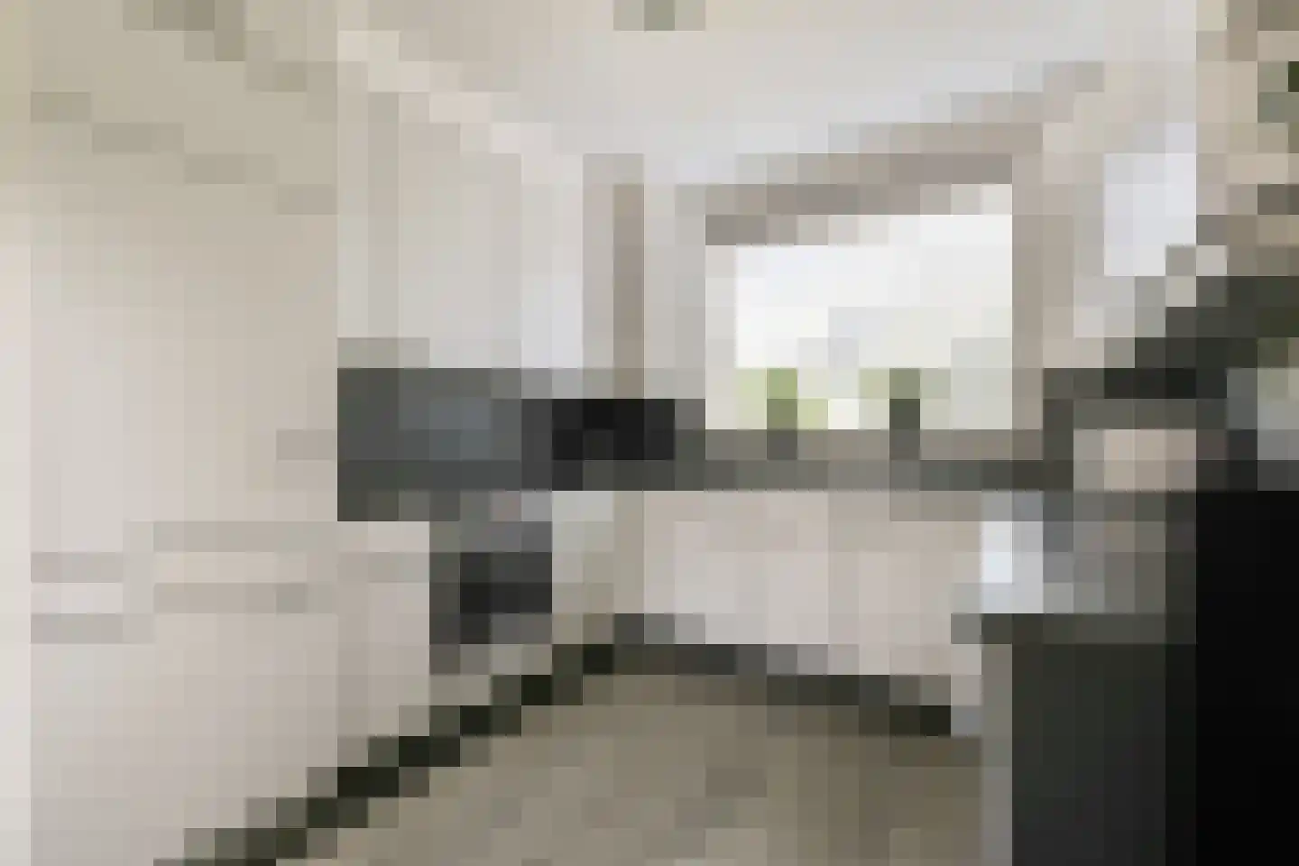 Muskuskruid 6 Vlaardingen thumbnail 4
