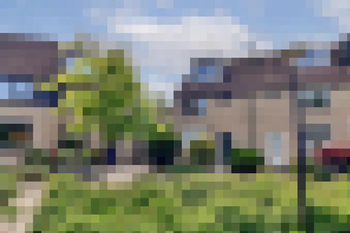 Muskuskruid 6 Vlaardingen thumbnail 5