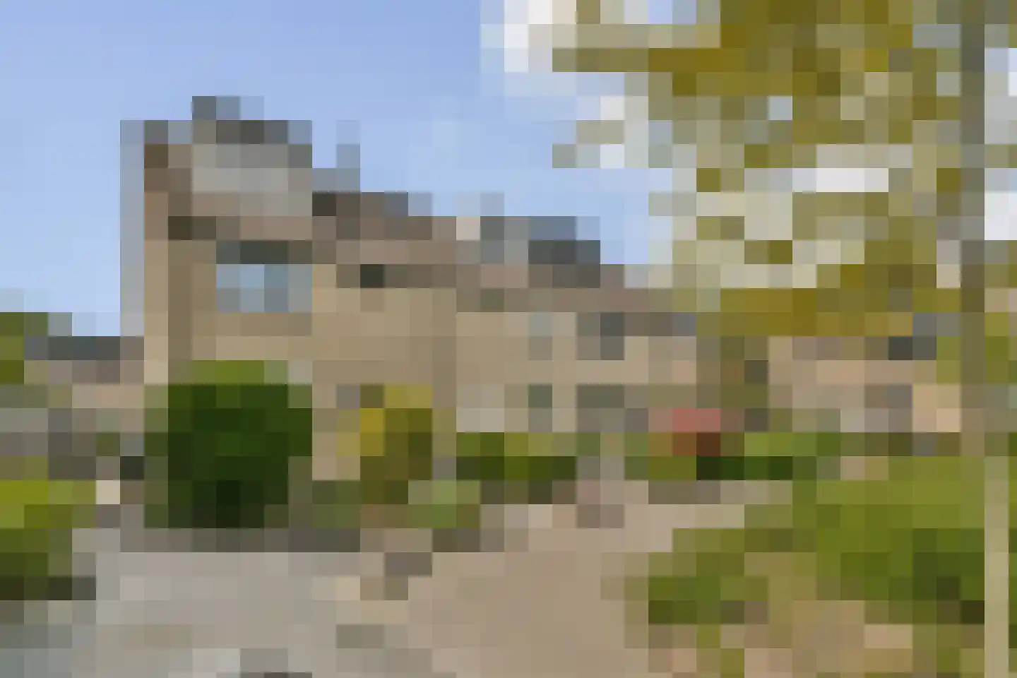 Muskuskruid 6 Vlaardingen thumbnail 6