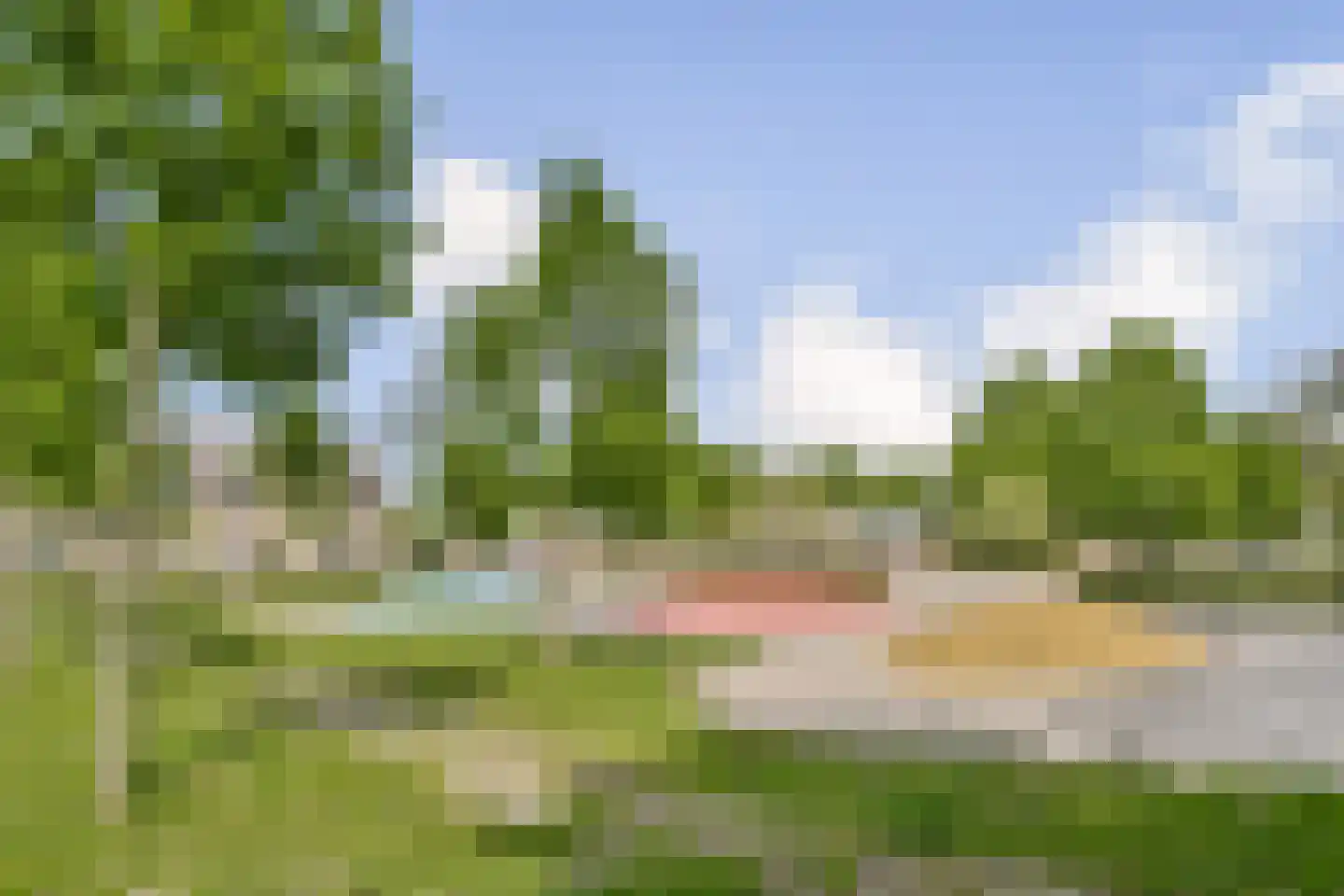 Muskuskruid 6 Vlaardingen thumbnail 7