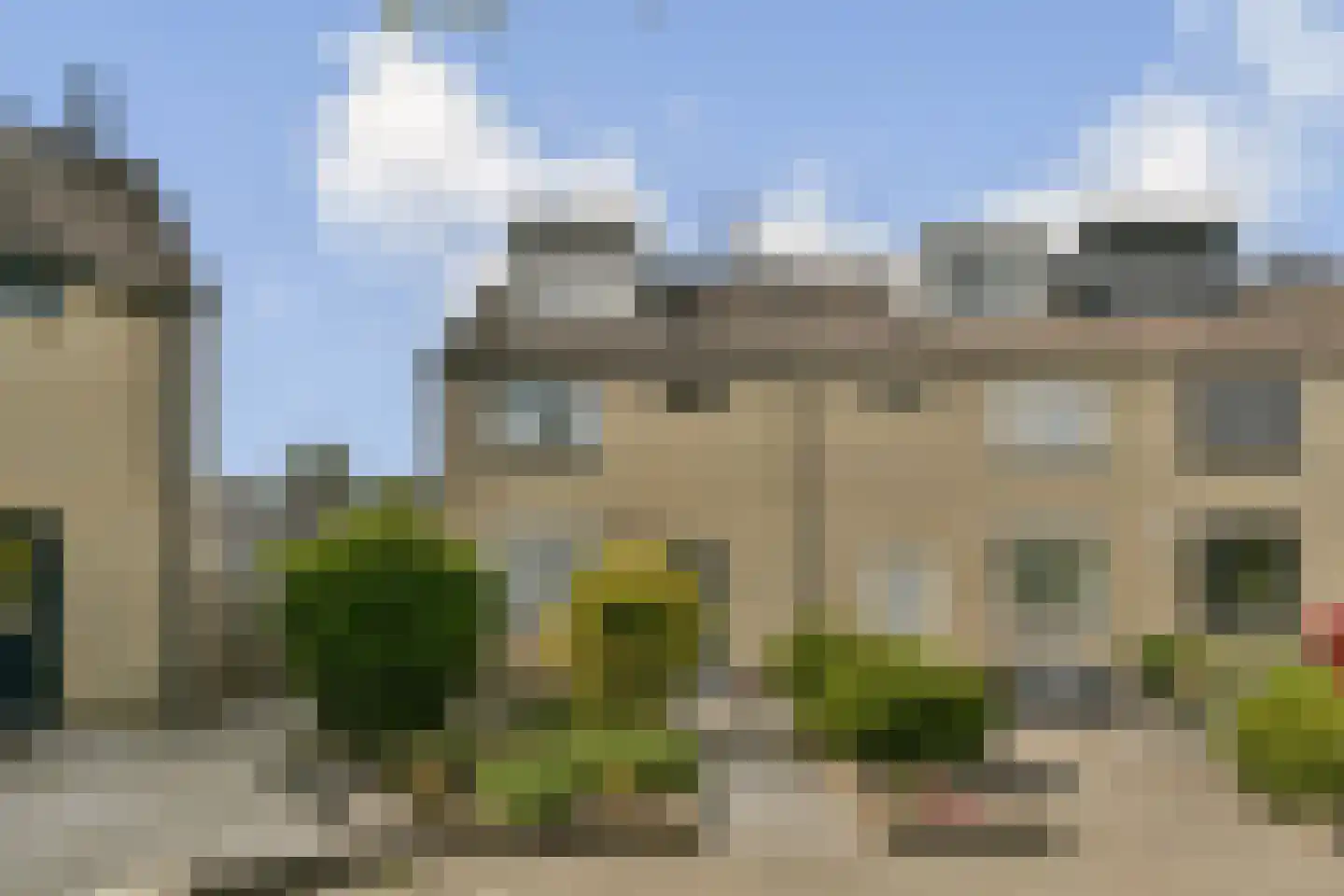 Muskuskruid 6 Vlaardingen thumbnail 8