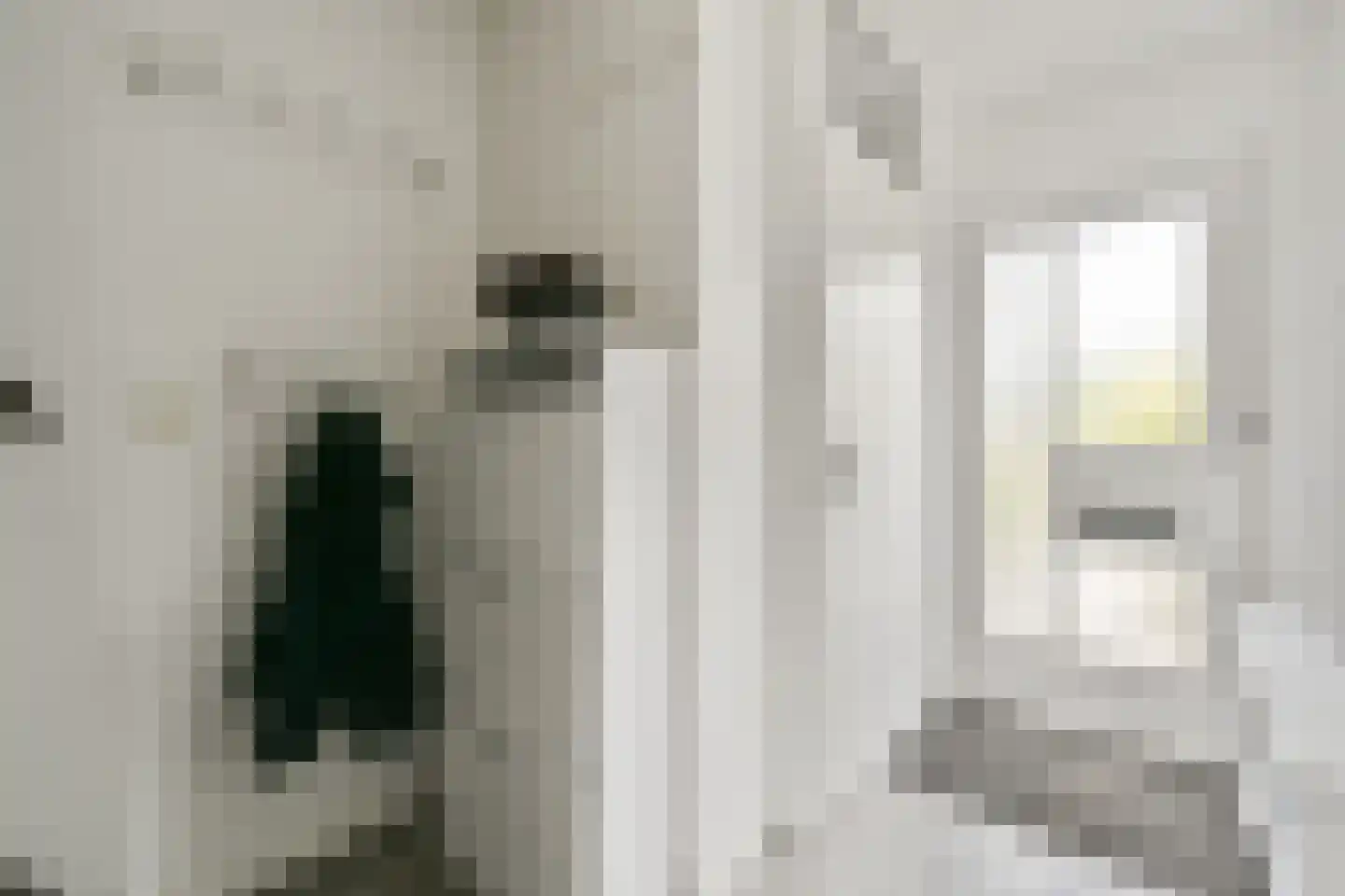 Muskuskruid 6 Vlaardingen thumbnail 9