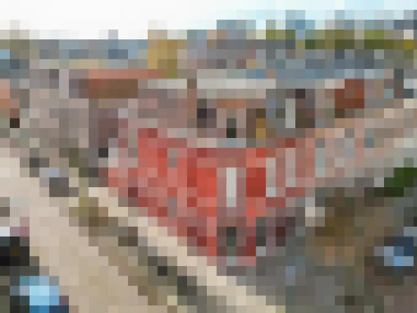 Musschenbroekstraat 17 Leiden thumbnail 22
