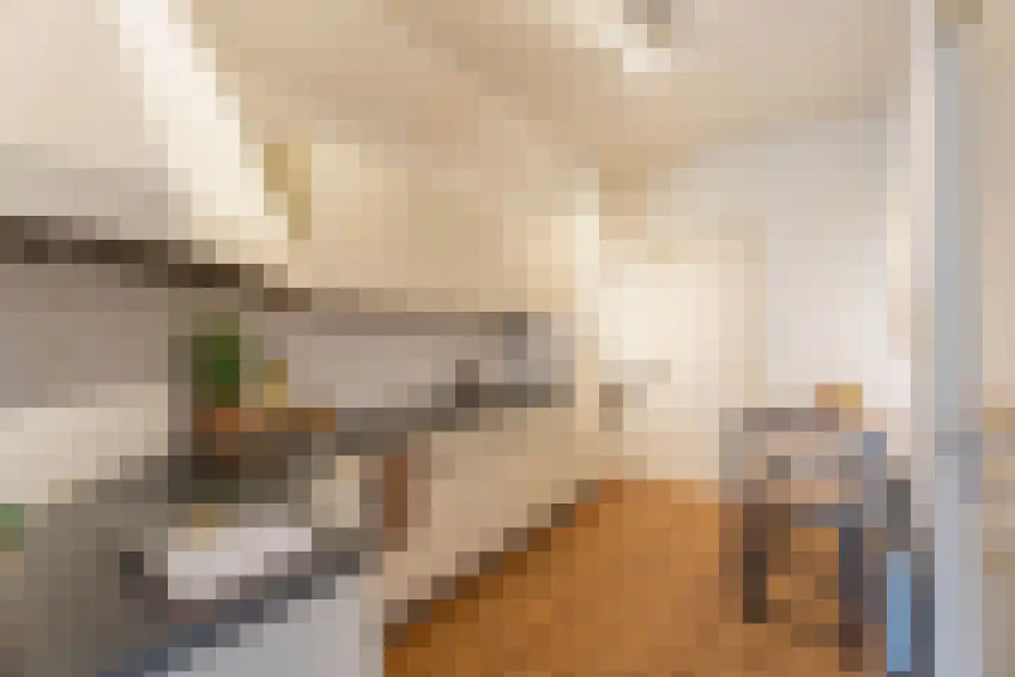 Musschenbroekstraat 17 Leiden thumbnail 8