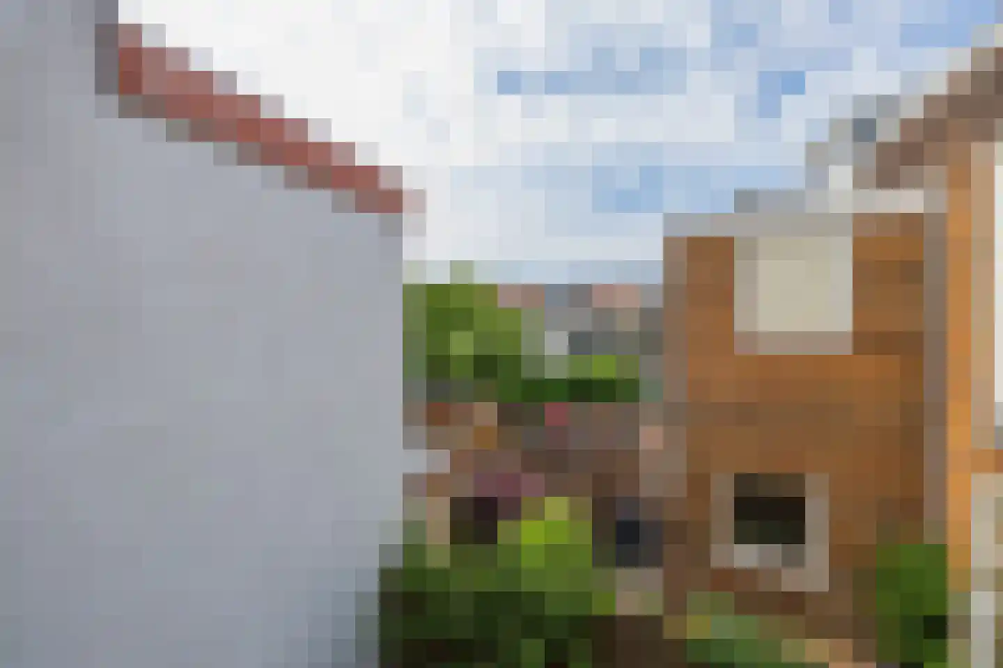 Musschenbroekstraat 3 A Leiden thumbnail 27