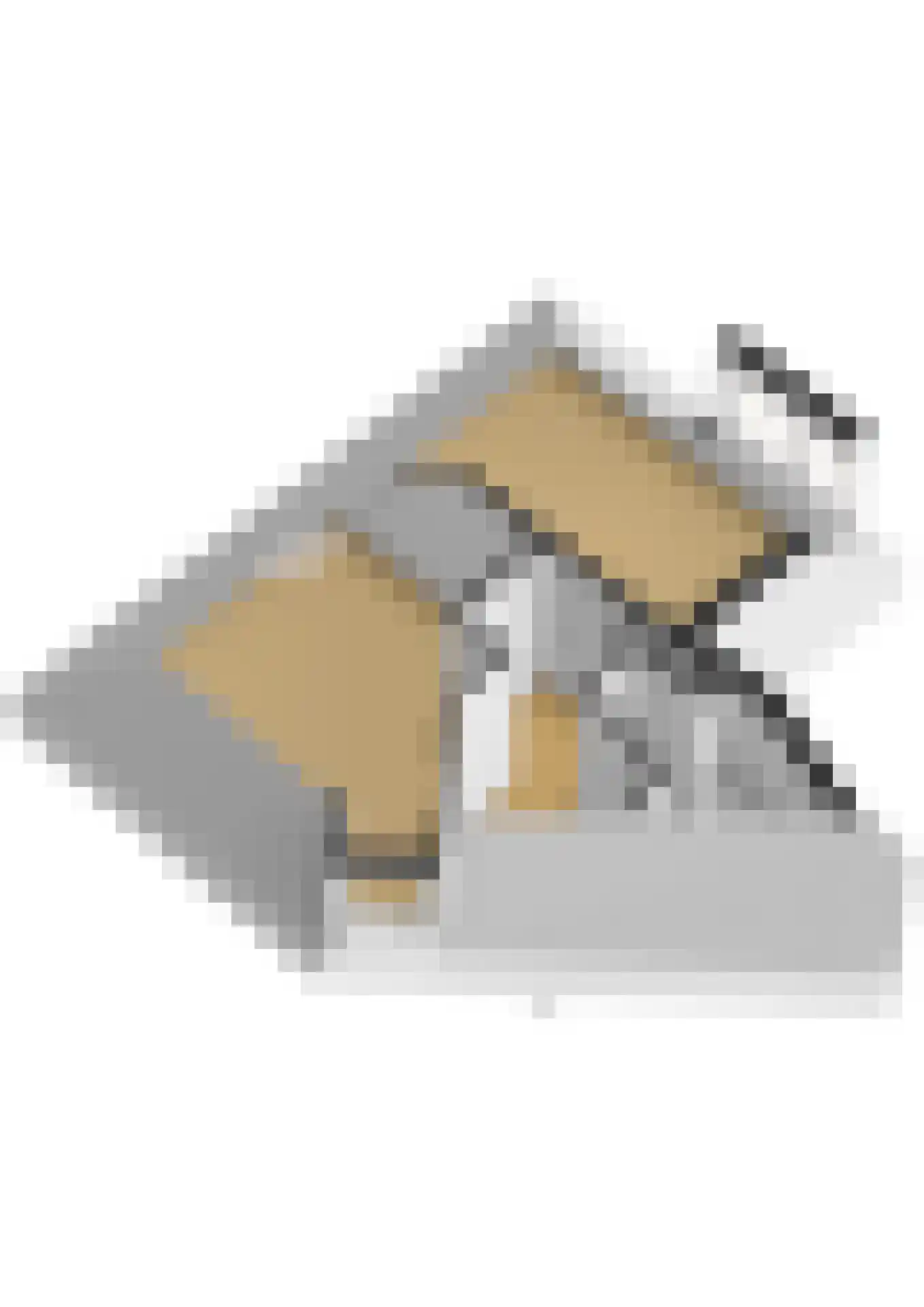Musschenbroekstraat 3 A Leiden thumbnail 48