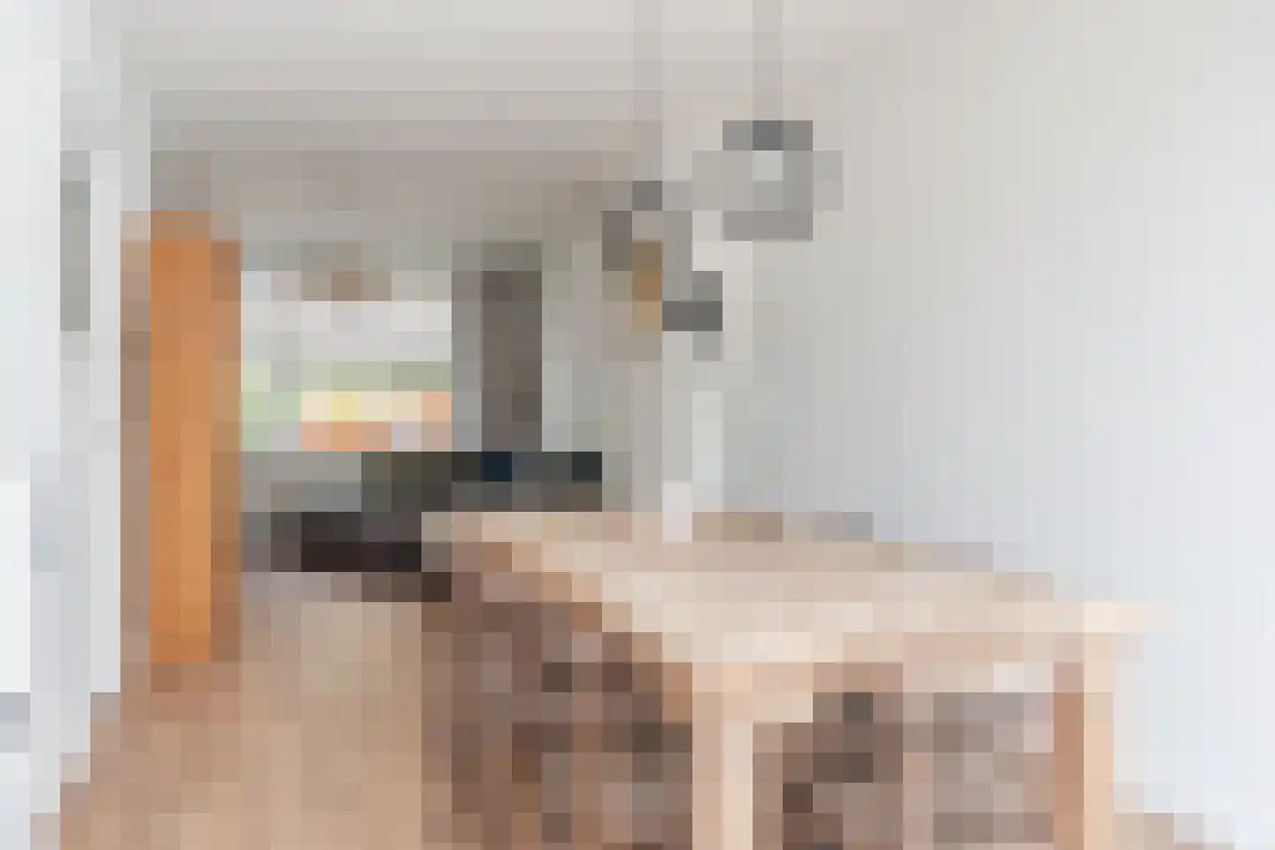 Musschenbroekstraat 5 Eindhoven thumbnail 12