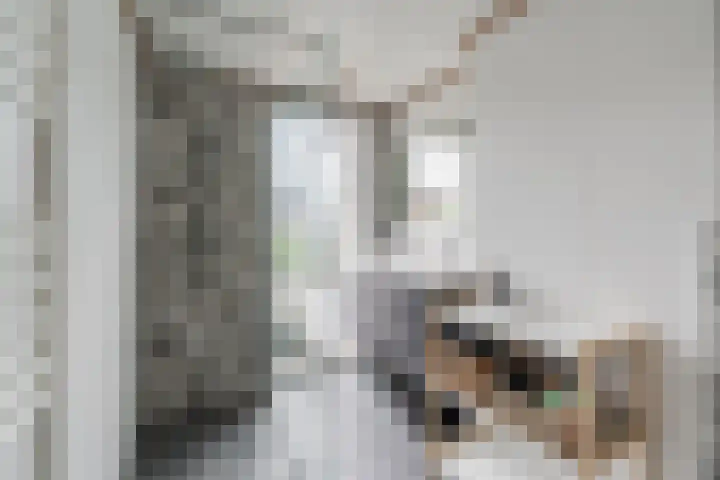 Musschenbroekstraat 5 Eindhoven thumbnail 27