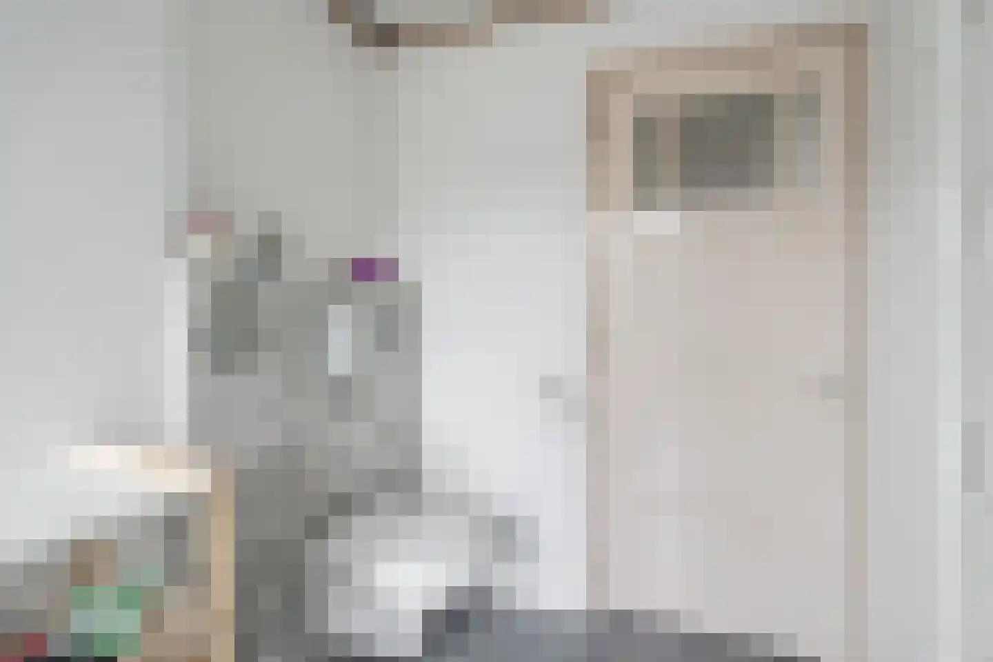 Musschenbroekstraat 5 Eindhoven thumbnail 29