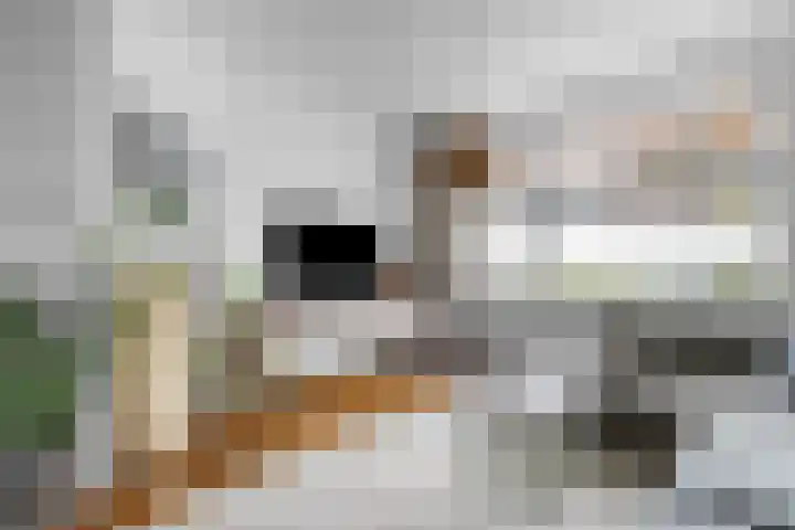 Musschenbroekstraat 55 Eindhoven thumbnail 14