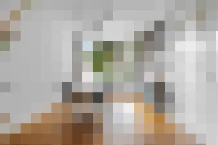 Musschenbroekstraat 55 Eindhoven thumbnail 16