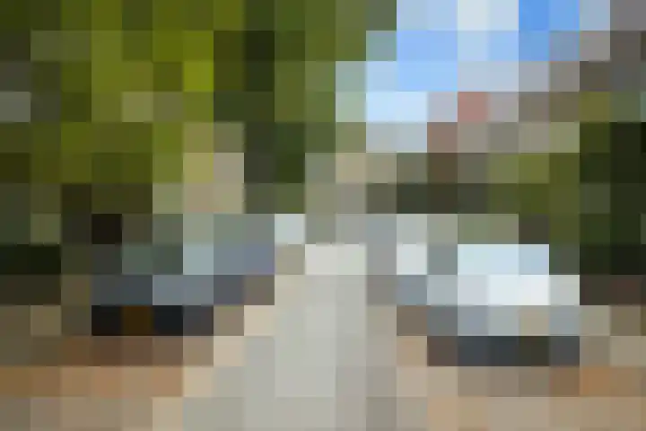 Musschenbroekstraat 55 Eindhoven thumbnail 58