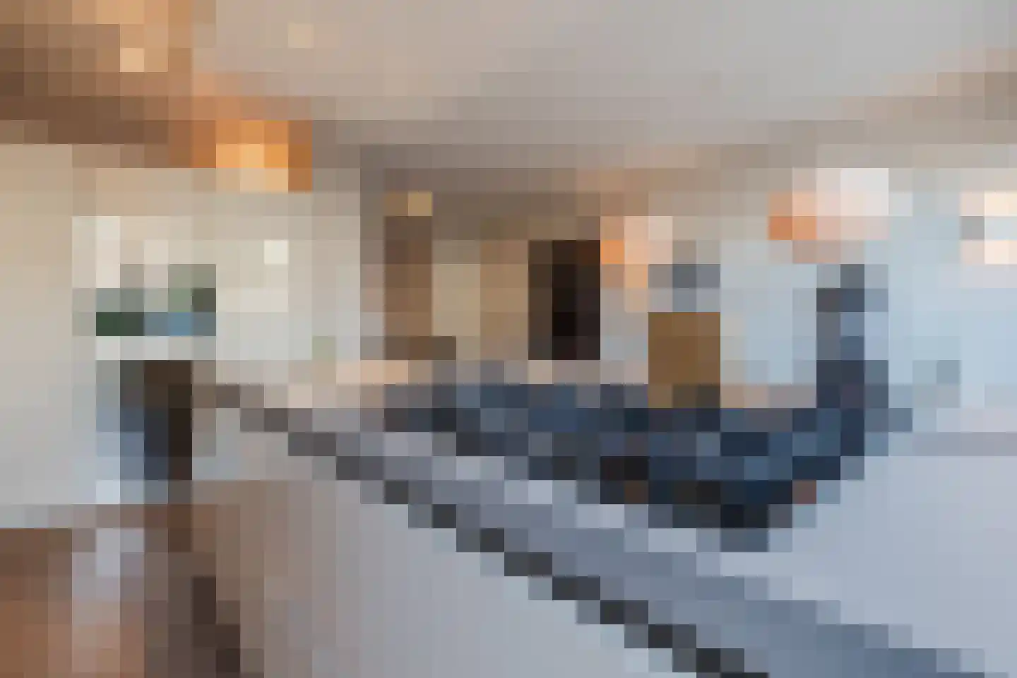 Musschenbroekstraat 59 Eindhoven thumbnail 14