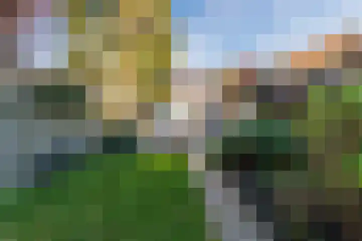 Musschenbroekstraat 59 Eindhoven thumbnail 16