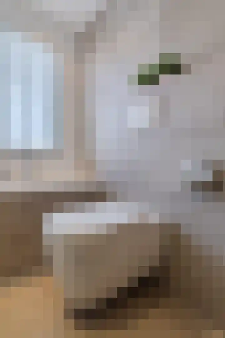 Musschenbroekstraat 59 Eindhoven thumbnail 28
