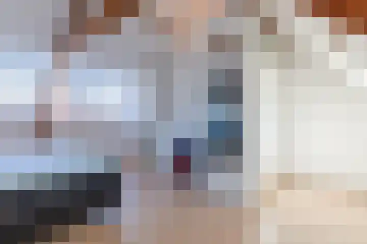 Musschenbroekstraat 59 Eindhoven thumbnail 32