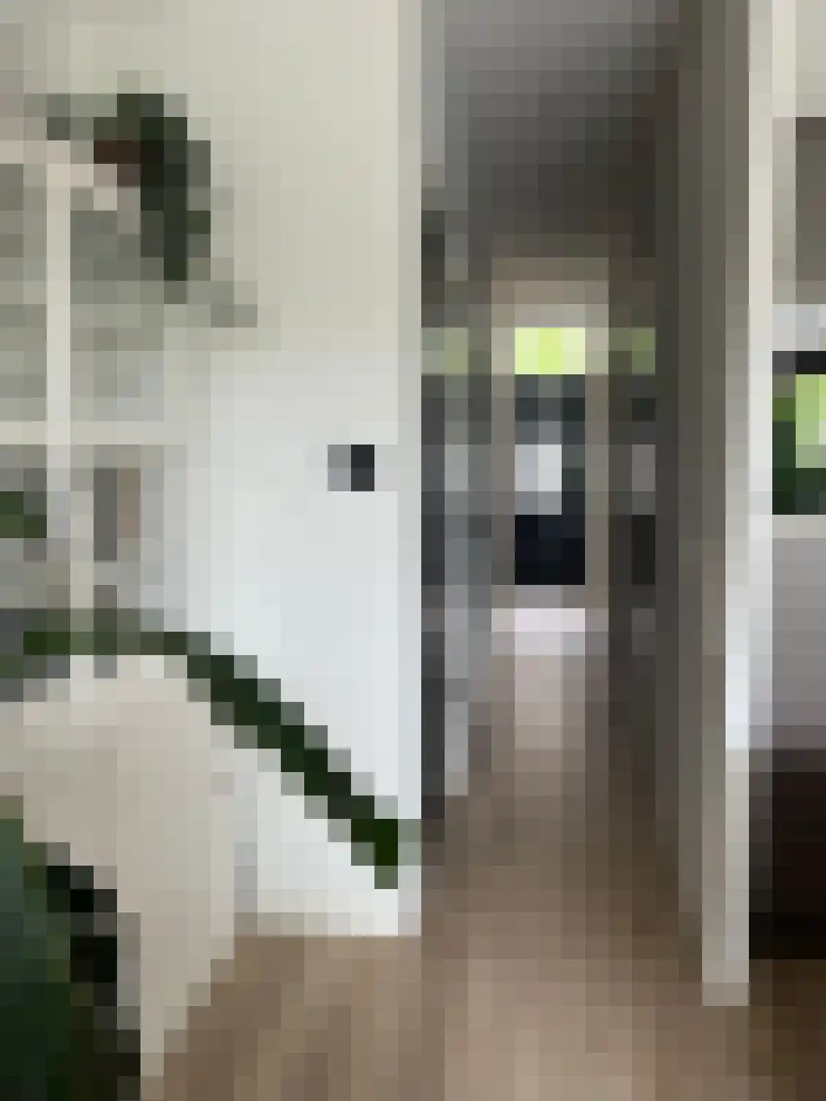 Musschenbroekstraat 7 Leiden thumbnail 4