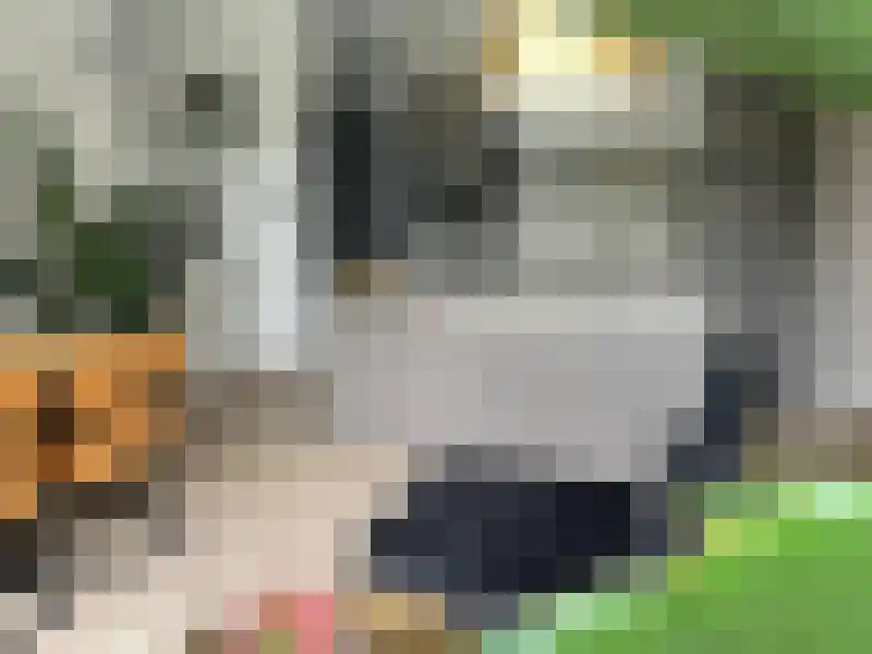 Musschenbroekstraat 7 Leiden thumbnail 7