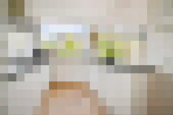 Musselstraat 11 's-Hertogenbosch thumbnail 15