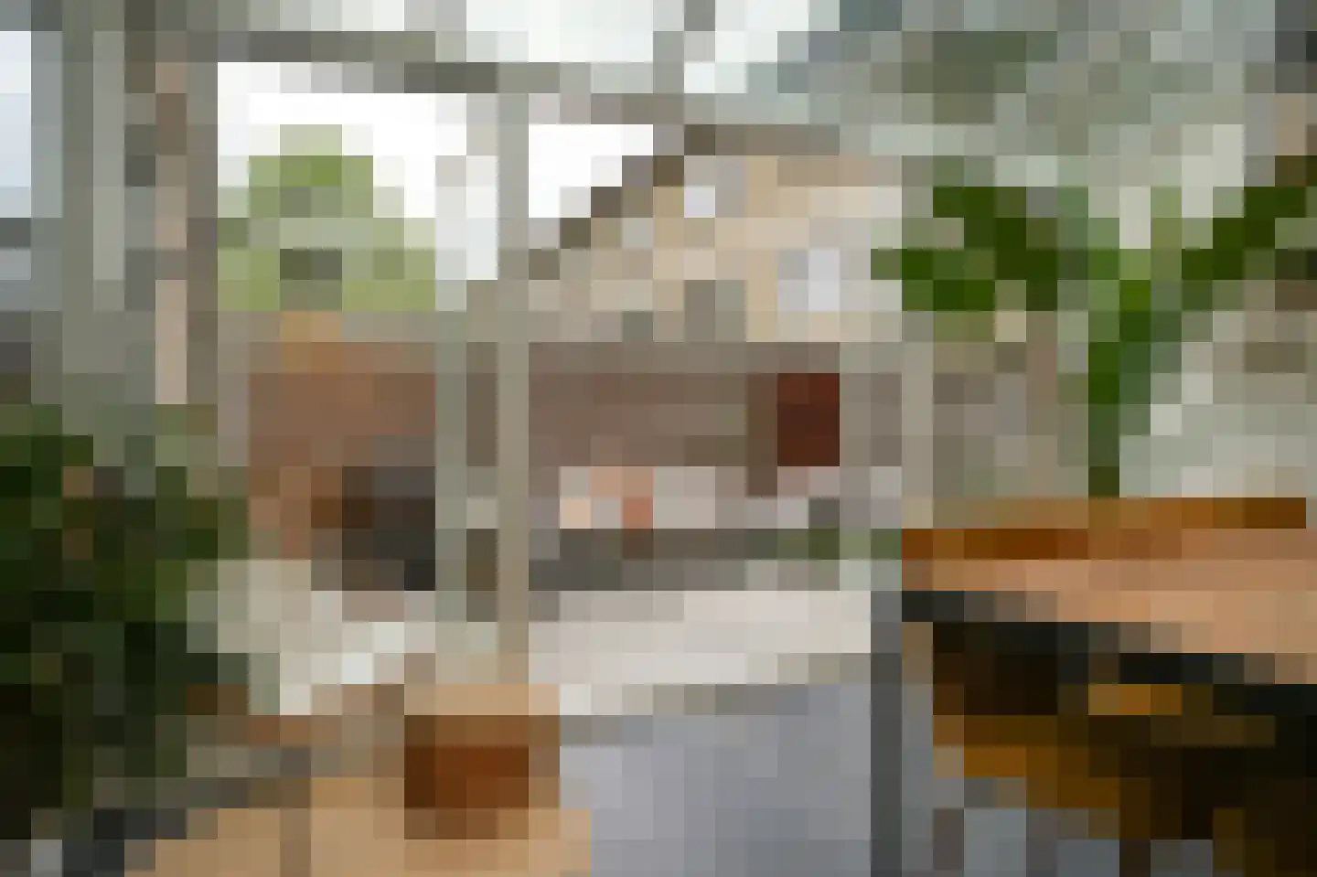 Musselstraat 82 's-Hertogenbosch thumbnail 15
