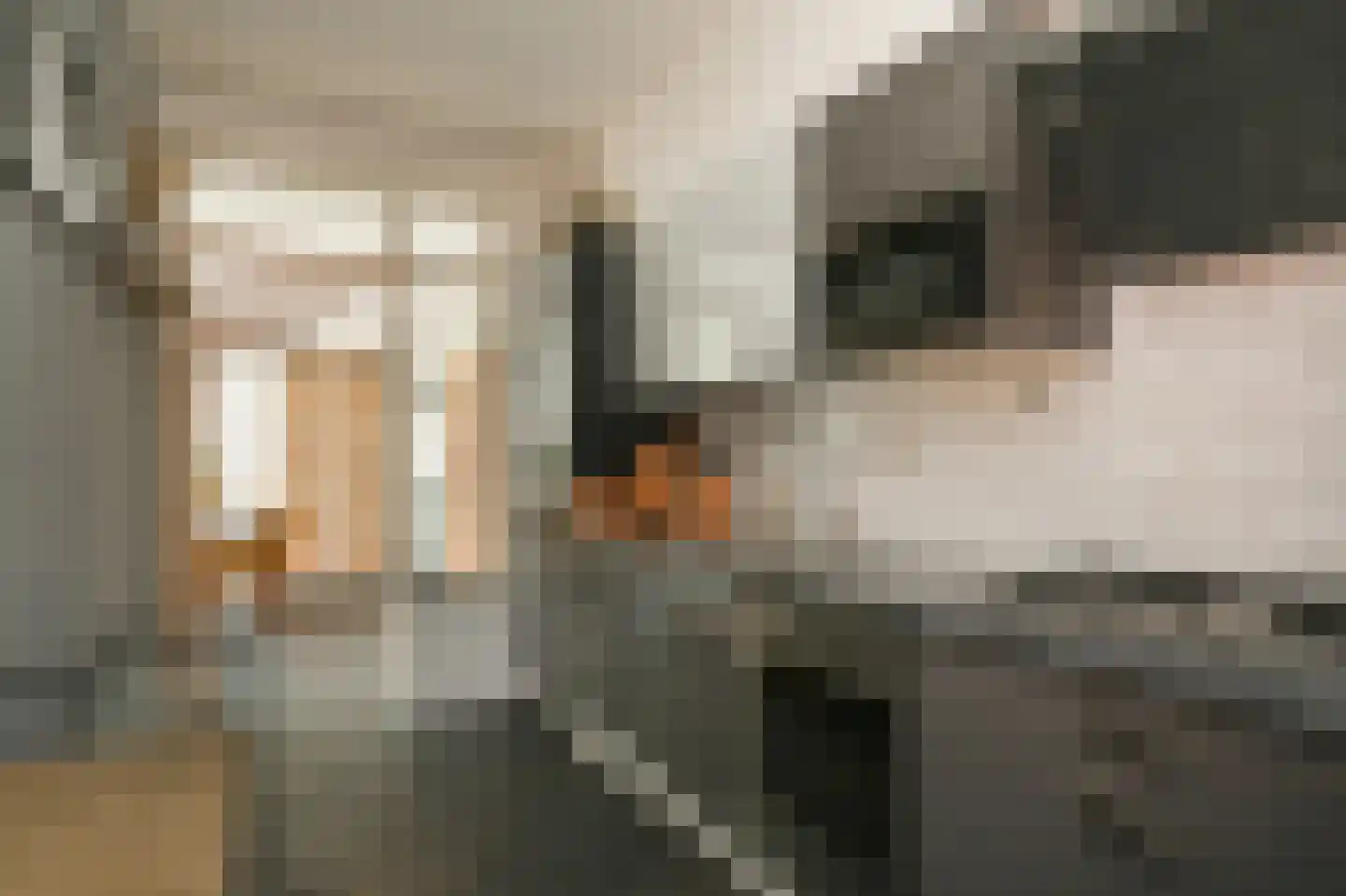 Musselstraat 82 's-Hertogenbosch thumbnail 17