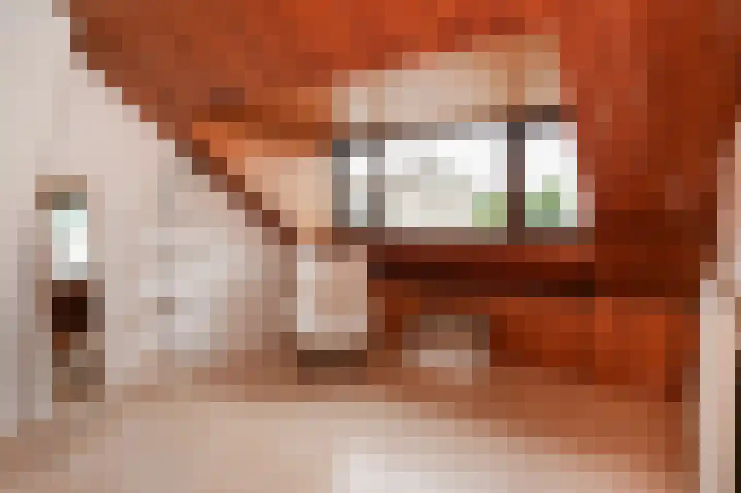 Musselstraat 82 's-Hertogenbosch thumbnail 30