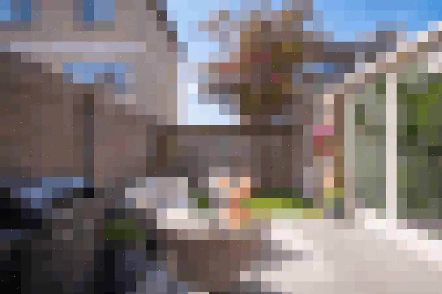 Musselstraat 82 's-Hertogenbosch thumbnail 37