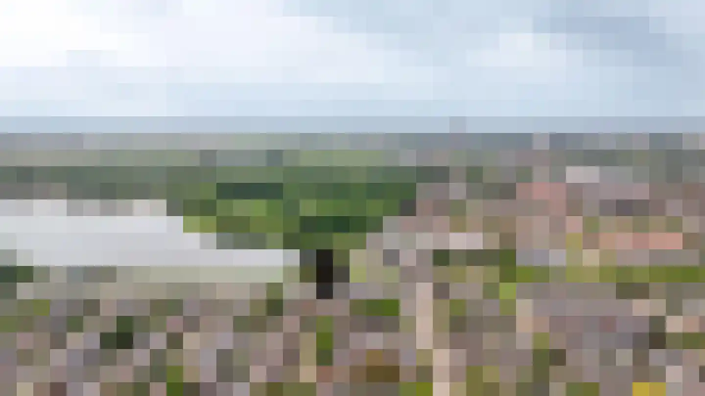 Musselstraat 82 's-Hertogenbosch thumbnail 47