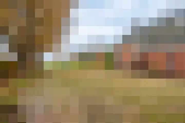 Musselweg 134 Mussel thumbnail 13