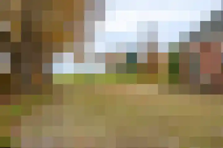 Musselweg 134 Mussel thumbnail 14
