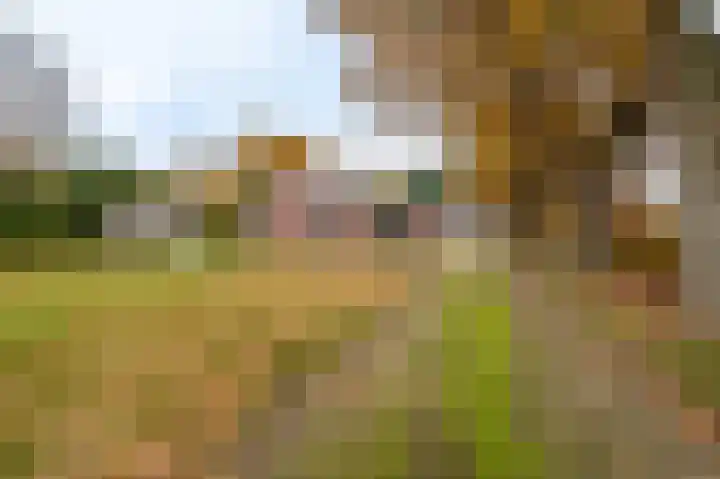 Musselweg 134 Mussel thumbnail 16