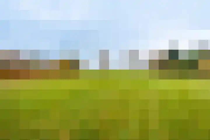 Musselweg 134 Mussel thumbnail 18