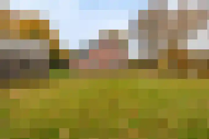 Musselweg 134 Mussel thumbnail 19
